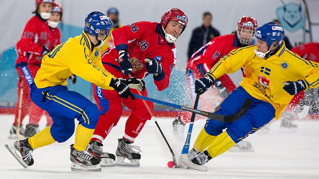 TV Bandy хоккей с мячом